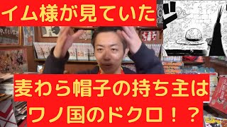 イム様が見ていた麦わら帽子の持ち主はワノ国のドクロ！？【スーパーカミキカンデONE PIECEが大好きな神木の切り抜き】