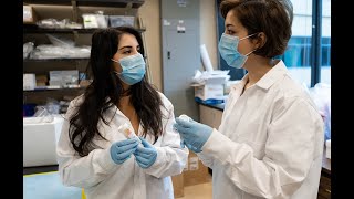 Inside UBC Okanagan's Pakpour Laboratory Focuses on Biomedical Microbiome Research