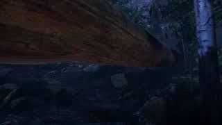 Unity HDRP VR | 1440 60fps ( The Forest Test)