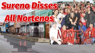 Sureno From LA Disses Nortenos