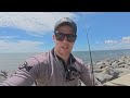 this land based spot was full of fish urban fishing with soft plastics south east queensland