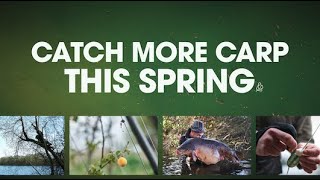 CATCH MORE CARP THIS SPRING | 1-hour of valuable information from a variety of anglers.
