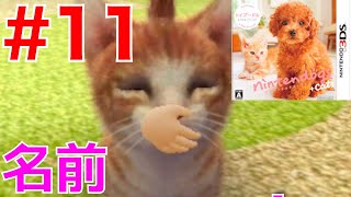 #11 猫ちゃんに名前をつけよう！可愛い子猫【ニンテンドッグス+キャッツ】