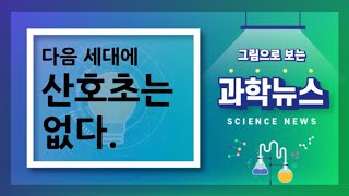 [그림으로 보는 과학뉴스] 다음 세대에 산호초는 없다