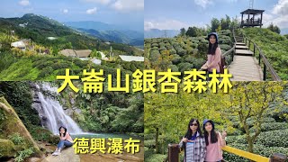 銀杏、茶園、瀑布之南投鹿谷一日遊~~大崙山觀景台、銀杏森林、武岫農圃、小半天德興瀑布