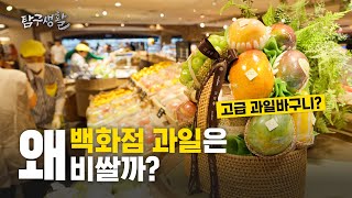 백화점에서 파는 과일은 왜 비싼건가요?ㅣ탐구생활 EP.04