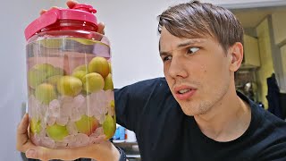 Making Japanese Moonshine! | Umeshu - Japans famous sour plum wine!