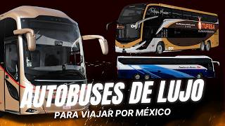 The most luxurious buses to travel in 2025! | Executive service and luxury | Russoh Busman