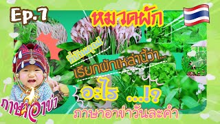 Ep.7 |ภาษาอาข่าวันละคำ| หมวดพืชผัก |คุณยังจำชื่อผักเป็นภาษาอาข่าได้อยู่มั้ย!?#阿卡語  #阿卡人| Amy  Sokaku