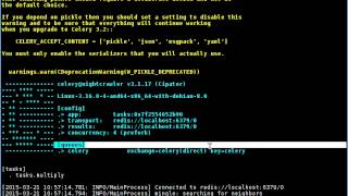 Basic Python Celery execution