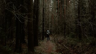 AUTUMN PHOTOGRAPHY POV: SHOOTING THE WINDY FOREST | SONY A7III & 35mm & 85mm