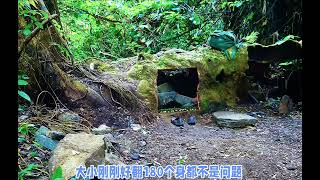 男人花10小时改造树洞，全村人都羡慕#荒野建造 #野外生存 #解压