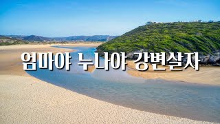 엄마야 누나야 강변살자