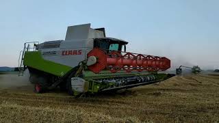 Žatva 2019 | Claas Lexion 580 / 570+ | New Holland T8040 | SPD Veselé