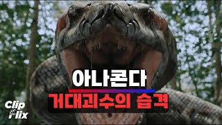 [아나콘다 2024] 배를 습격하는 아나콘다 | 액션 몬스터 영화 장면 | 클립플릭스