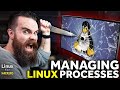 KILL Linux processes!! (also manage them) // Linux for Hackers // EP 7