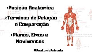 01- Posição Anatômica, Planos, Eixos, Movimentos e Términos Anatômicos - Anatomia Animada