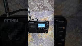 Tecsun pl 330 Vs Retekess v 115 SW 11.710 MHz 📻