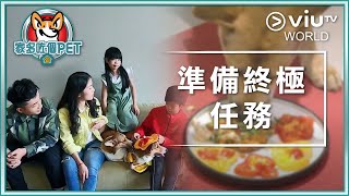 《家多咗個PET》EP 12 - 準備終極任務