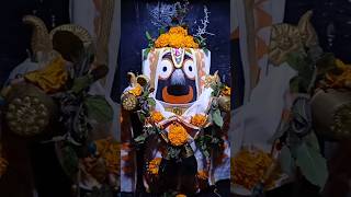 କପାଳରେ ଯଦି ଲେଖିଛୁରେ... ⭕❗⭕#jagannath #bhakti #bhaktibhajan #bhajan #ram #krishna #trending #videos