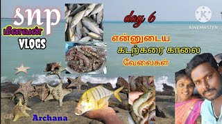 day 6❣️என்னுடைய காலை🐋கடற்கரை வேலைகள்🐠🪸 SNPமீனவன்vlogs archana vino