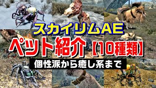 スカイリムAE 【ペット】大全集！あなたの冒険のお供に最適なペットはどれ？