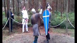 ARC Sword \u0026 Shield rounds Michael vs 1 .wmv