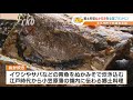 イワシ・サバ青魚をぬかみそで炊き込む「ぬか炊き」を広めたい！　有識者が集まり会議