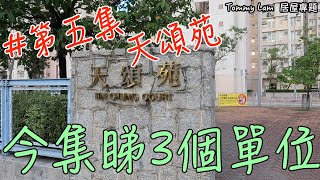 【居屋專題】2022年白居二｜天頌苑 - 有齊和諧同康和式｜想搵天頌既入黎睇啦｜今集睇3個單位｜搵樓記得聯絡我｜#天頌苑 #白居二 #天水圍 #TTown