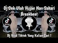 DJ DEK ULAH HUJAN NAN SAHARI | DJ BASARAH KA GARIH TANGAN BREAKBEAT VIRAL TIKTOK TERBARU 2024 !