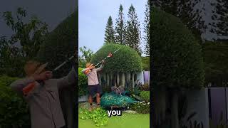 The Most Relaxing \u0026 Satisfying Gardening Work You'll Ever Watch 🌳 #202