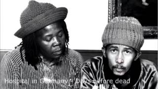 Bob Marley Last Days photos/ Fotos de sus últimos días