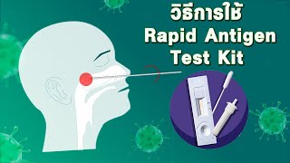 วิธีการใช้ Rapid Antigen Test Kit  (ชุดตรวจเชื้อโควิด-19 แบบเร่งด่วน) | Thairath Online