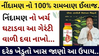 નીંદામણ નો 100% સફાયો = રામબાણ ઈલાજ | નિંદામણ મુક્ત ખેતર રાખો  | khedut sahay | commodity Trend