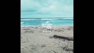 1,183 SQ.M White Sand Beach Front Lot For Sale in Pacifico Siargao