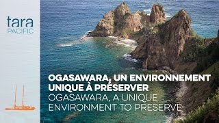 [Tara Pacific] Ogasawara, un environnement unique à préserver // A unique environment to preserve