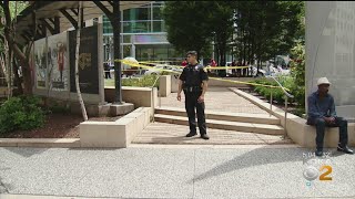 Crime Rates In The City Decreased In 2019