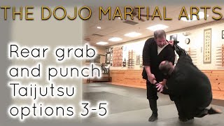 Rear grab and punch defenses 3-5.  Taijutsu Self-Defense