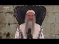 parasha pinchas 5785 2024 showdown yahweh vs baal