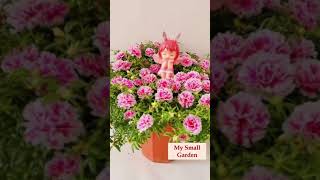 How to grow beautiful bonsai-style flowers of Portulaca Grandiflora flowers p5 #shorts