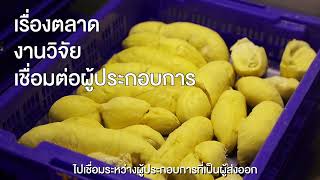 viral video ตอนที่ 17 \