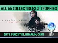 A Plague Tale: Innocence - All 55 Collectibles and All Chapter-Specific Trophies/Achievements 🏆