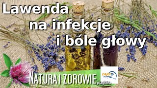 Zrób olejek lawendowy. Posiada właściwości antyseptyczne i bakteriobójcze. Wspomaga odporność.