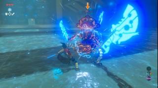 ゼルダの伝説 ブレス オブ ザ ワイルド 力の試練 極位