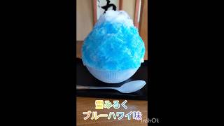 笠間市にある雪みるくでかき氷を食べてきました🍧氷がふわふわでとても美味しかったです🤤お父さんは夏の定番ブルーハワイ味にしてました🍧