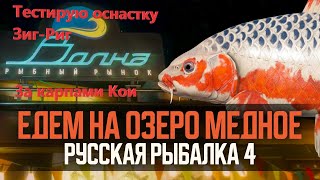 🟠🐠оз. Медное нужно больше карпов Кои 🐠Рулетка  для подписчиков 🟠Русская Рыбалка 4🟠 #johniekartman