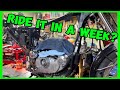 Ironhead Sportster Rebuild in 7 Days: new bike needed a top end and more