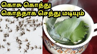 கொசு தொல்லை நீங்க கூட்டம் கூட்டமா சாகுது பாருங்க | How to get rid of mosquitoes naturally in tamil