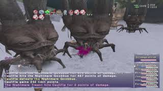 FFXI - Dynamis Valkurm Clear Guide