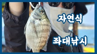 삼길포 백년좌대 자연식 좌대낚시